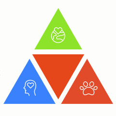 one health infographic concept 